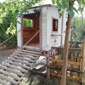 Azienda Agrituristica Le Betulle Bauernhof Riotorto
