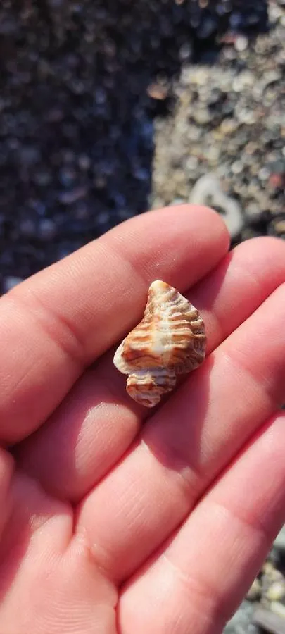 Ostello Ninin De Ma' Framura