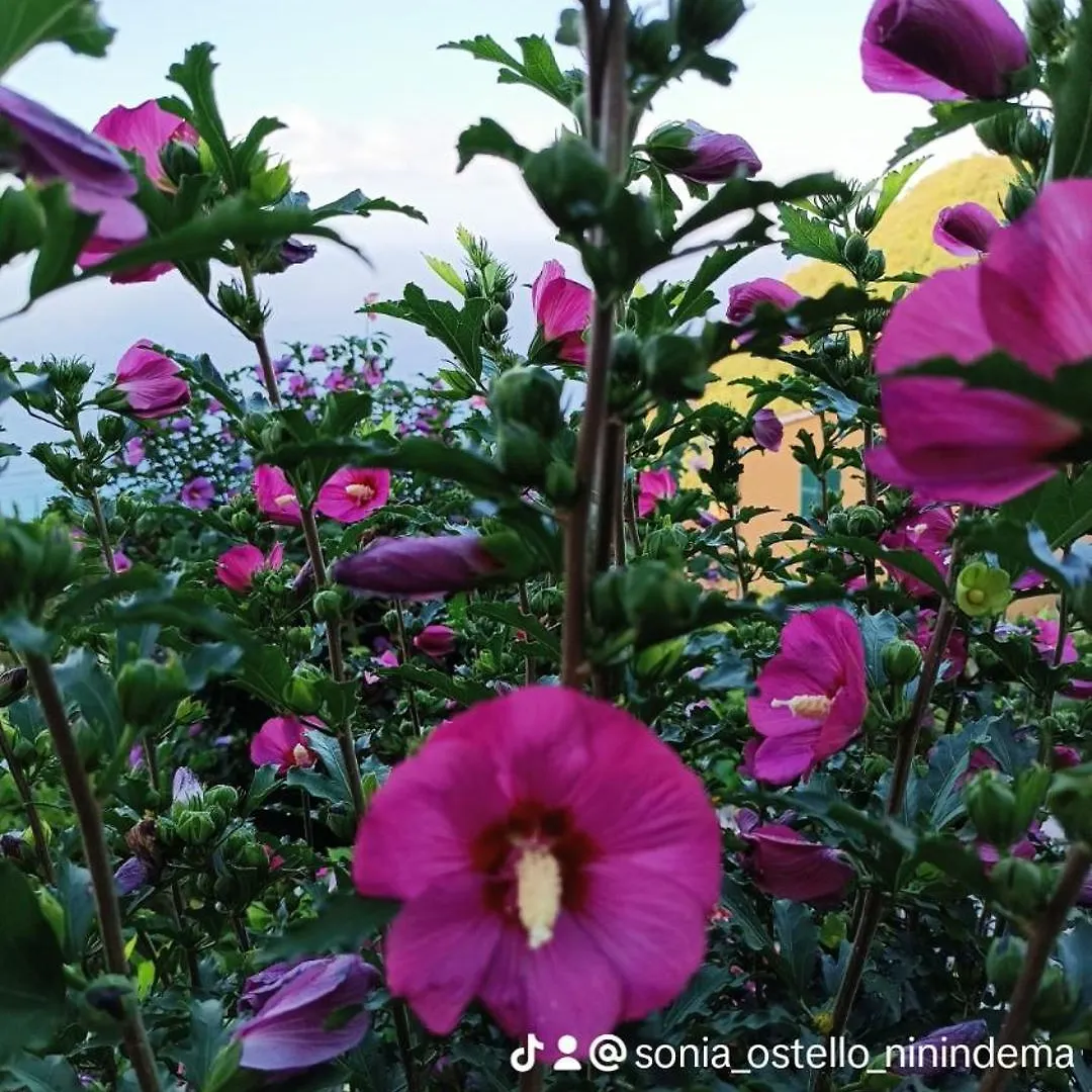 Ostello Ninin De Ma' 弗拉穆拉